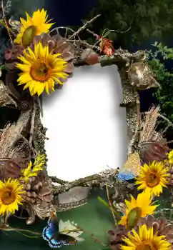 Kesan foto daripada kategori Musim panas № 167902