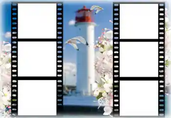 Kesan foto daripada kategori Musim panas № 167969