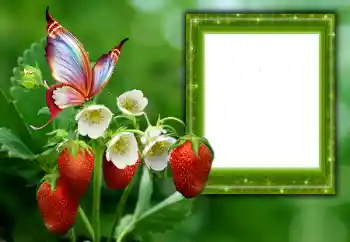Kesan foto daripada kategori Musim panas № 168002