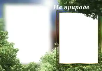 Kesan foto daripada kategori Musim panas № 182141. Tulisan pada bingkai: Di alam semula jadi