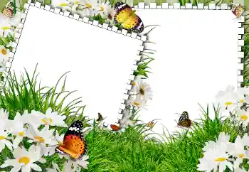 Kesan foto daripada kategori Musim panas № 31861