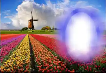 Kesan foto daripada kategori Musim panas № 36251 Kesan foto daripada kategori Musim panas № 36251
