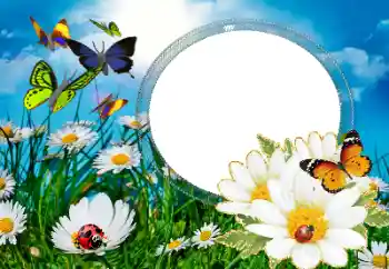 Kesan foto daripada kategori Musim panas № 40377 Kesan foto daripada kategori Musim panas № 40377