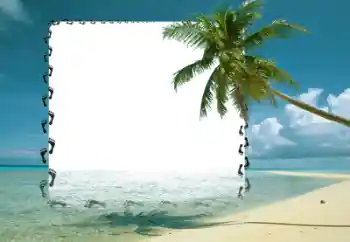 Kesan foto daripada kategori Musim panas № 57676