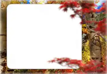 Kesan foto daripada kategori Musim luruh № 127331 Kesan foto daripada kategori Musim luruh № 127331