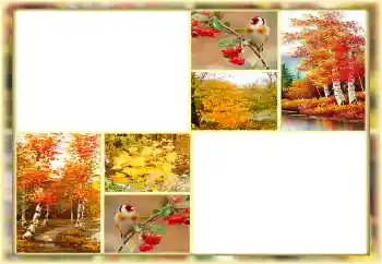 Kesan foto daripada kategori Musim luruh № 160654