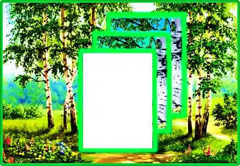 Kesan foto daripada kategori Musim bunga № 113016