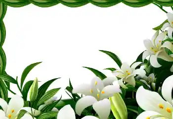 Kesan foto daripada kategori Musim bunga № 113129