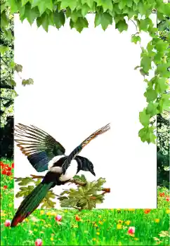Kesan foto daripada kategori Musim bunga № 147761