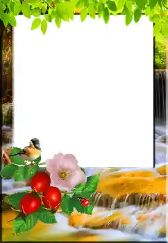 Kesan foto daripada kategori Musim bunga № 148967