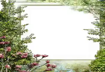 Kesan foto daripada kategori Musim bunga № 149187