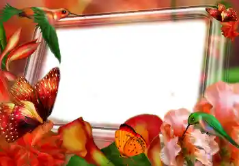 Kesan foto daripada kategori Musim bunga № 4610