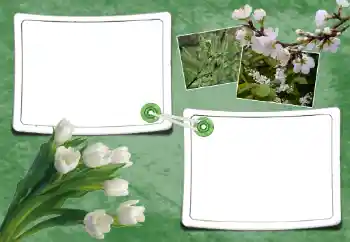 Kesan foto daripada kategori Musim bunga № 93095 Kesan foto daripada kategori Musim bunga № 93095