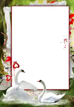 Kesan foto daripada kategori Bingkai perkahwinan № 166120 Kesan foto daripada kategori Bingkai perkahwinan № 166120