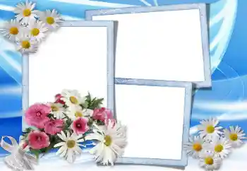 Kesan foto daripada kategori Bingkai foto wanita № 10866 Kesan foto daripada kategori Bingkai foto wanita № 10866