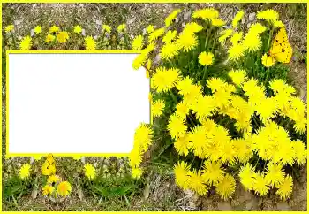 Kesan foto daripada kategori Bingkai foto wanita № 116202 Kesan foto daripada kategori Bingkai foto wanita № 116202