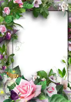 Kesan foto daripada kategori Bingkai foto wanita № 120003