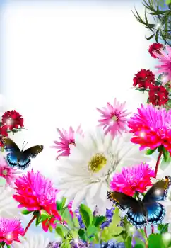 Kesan foto daripada kategori Bingkai foto wanita № 125845