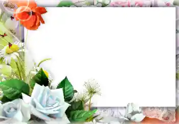 Kesan foto daripada kategori Bingkai foto wanita № 127301 Kesan foto daripada kategori Bingkai foto wanita № 127301