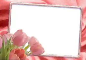 Kesan foto daripada kategori Bingkai foto wanita № 12865