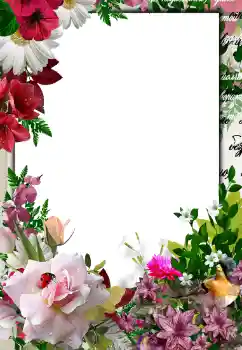Kesan foto daripada kategori Bingkai foto wanita № 133076 Kesan foto daripada kategori Bingkai foto wanita № 133076