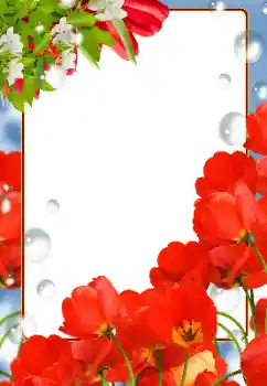 Kesan foto daripada kategori Bingkai foto wanita № 133081 Kesan foto daripada kategori Bingkai foto wanita № 133081