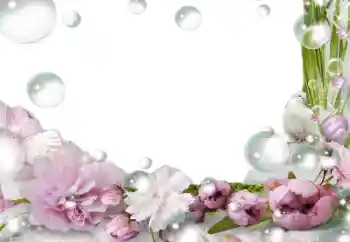 Kesan foto daripada kategori Bingkai foto wanita № 139757 Kesan foto daripada kategori Bingkai foto wanita № 139757