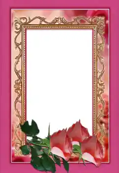 Kesan foto daripada kategori Bingkai foto wanita № 146366 Kesan foto daripada kategori Bingkai foto wanita № 146366