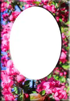 Kesan foto daripada kategori Bingkai foto wanita № 147641 Kesan foto daripada kategori Bingkai foto wanita № 147641