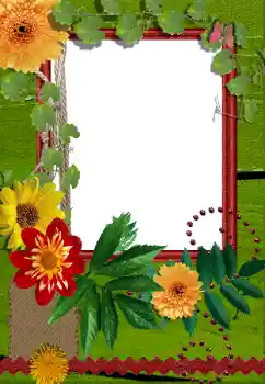 Kesan foto daripada kategori Bingkai foto wanita № 155889 Kesan foto daripada kategori Bingkai foto wanita № 155889