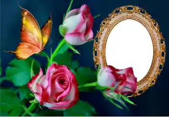 Kesan foto daripada kategori Bingkai foto wanita № 157089 Kesan foto daripada kategori Bingkai foto wanita № 157089