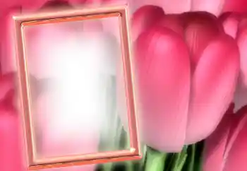 Kesan foto daripada kategori Bingkai foto wanita № 15899 Kesan foto daripada kategori Bingkai foto wanita № 15899