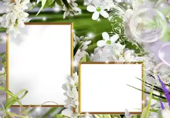Kesan foto daripada kategori Bingkai foto wanita № 160610
