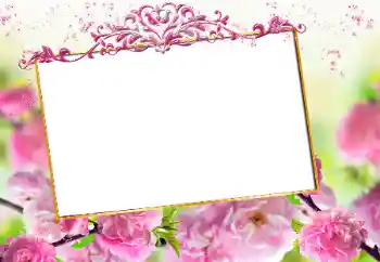 Kesan foto daripada kategori Bingkai foto wanita № 163327
