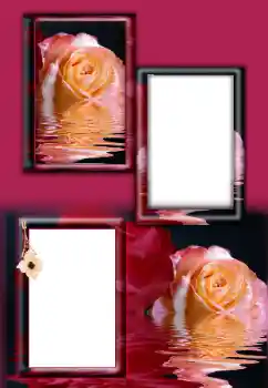 Kesan foto daripada kategori Bingkai foto wanita № 164787 Kesan foto daripada kategori Bingkai foto wanita № 164787