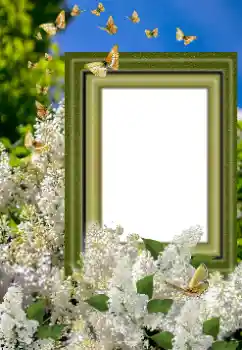 Kesan foto daripada kategori Bingkai foto wanita № 169023 Kesan foto daripada kategori Bingkai foto wanita № 169023