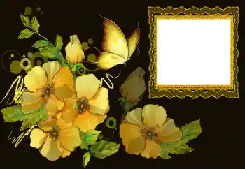 Kesan foto daripada kategori Bingkai foto wanita № 172997