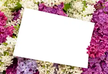 Kesan foto daripada kategori Bingkai foto wanita № 175408