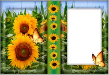 Kesan foto daripada kategori Bingkai foto wanita № 175542 Kesan foto daripada kategori Bingkai foto wanita № 175542