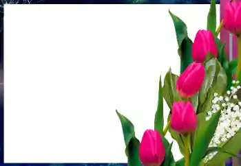 Kesan foto daripada kategori Bingkai foto wanita № 182017 Kesan foto daripada kategori Bingkai foto wanita № 182017