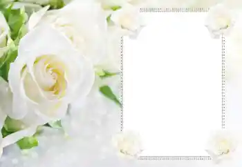 Kesan foto daripada kategori Bingkai foto wanita № 183434