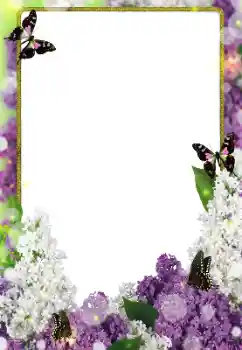 Kesan foto daripada kategori Bingkai foto wanita № 203271 Kesan foto daripada kategori Bingkai foto wanita № 203271