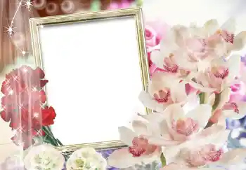 Kesan foto daripada kategori Bingkai foto wanita № 205