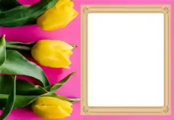 Kesan foto daripada kategori Bingkai foto wanita № 206177 Kesan foto daripada kategori Bingkai foto wanita № 206177