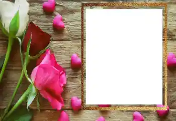 Kesan foto daripada kategori Bingkai foto wanita № 206183 Kesan foto daripada kategori Bingkai foto wanita № 206183