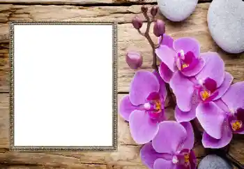 Kesan foto daripada kategori Bingkai foto wanita № 206185 Kesan foto daripada kategori Bingkai foto wanita № 206185