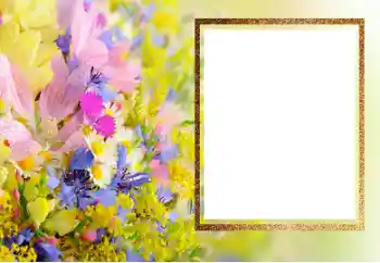 Kesan foto daripada kategori Bingkai foto wanita № 206190 Kesan foto daripada kategori Bingkai foto wanita № 206190