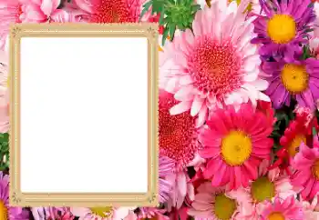 Kesan foto daripada kategori Bingkai foto wanita № 206193