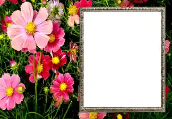 Kesan foto daripada kategori Bingkai foto wanita № 206194
