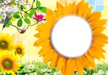 Kesan foto daripada kategori Bingkai foto wanita № 212